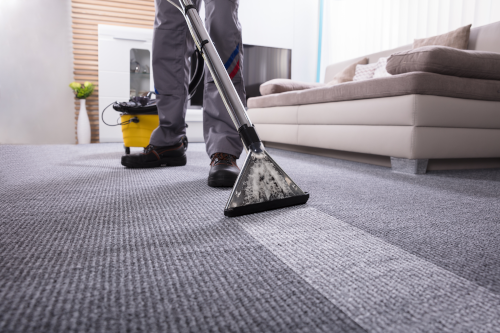 Troy Landing Page - American Quality Cleaning, Inc. - Carpet_Cleaning1