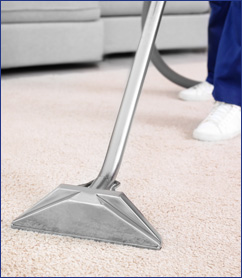 Carpet & Upholstery Cleaning Waterford, MI | American Quality Cleaning - professional-carpet-stain-cleaning